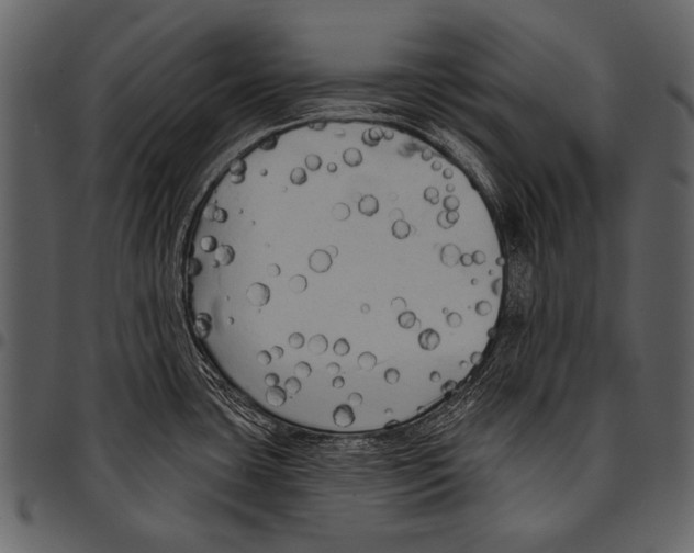 X0000097491435200803201521