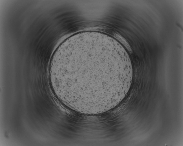 X0000097491436200803201521