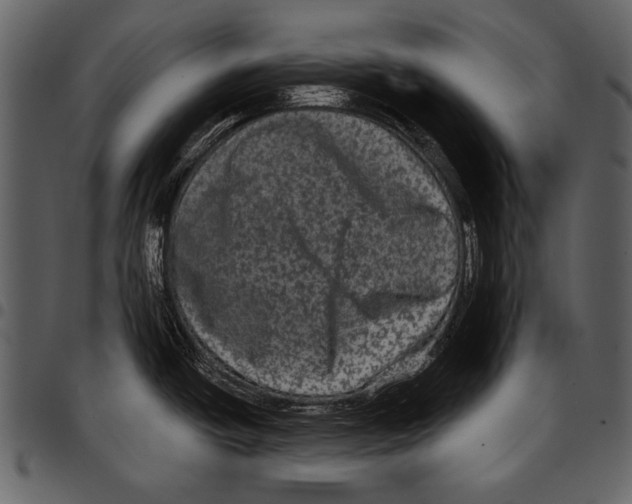 X0000097491438200803201521