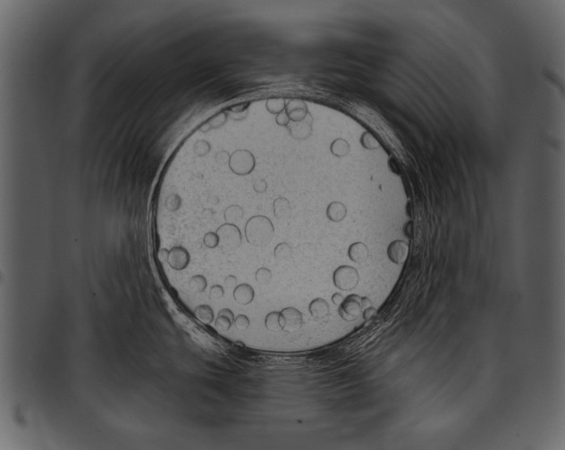 X0000097491439200803201521