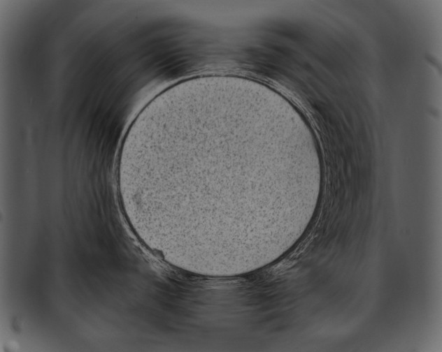 X0000097491440200803201521