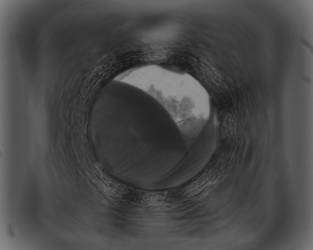 X0000097491441200803201520