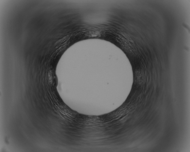 X0000097491442200803201520