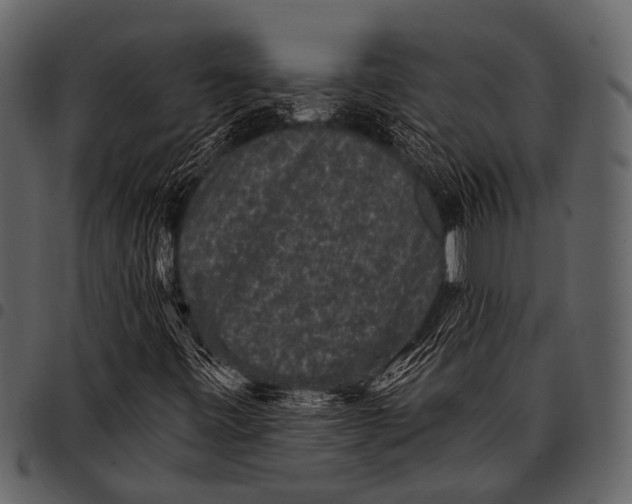 X0000097491443200803201520