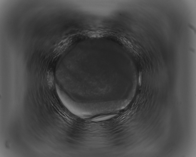 X0000097491444200803201520