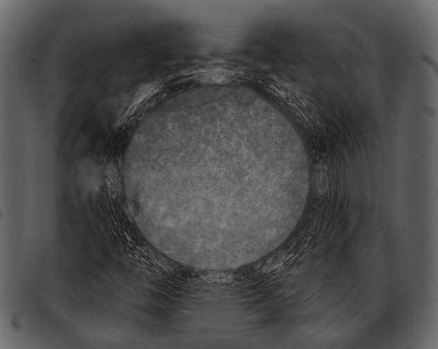 X0000097491446200803201520