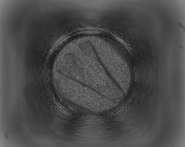 X0000097491448200803201520