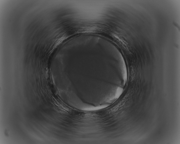 X0000097491449200803201520