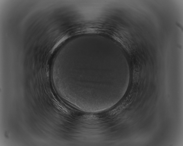 X0000097491450200803201520