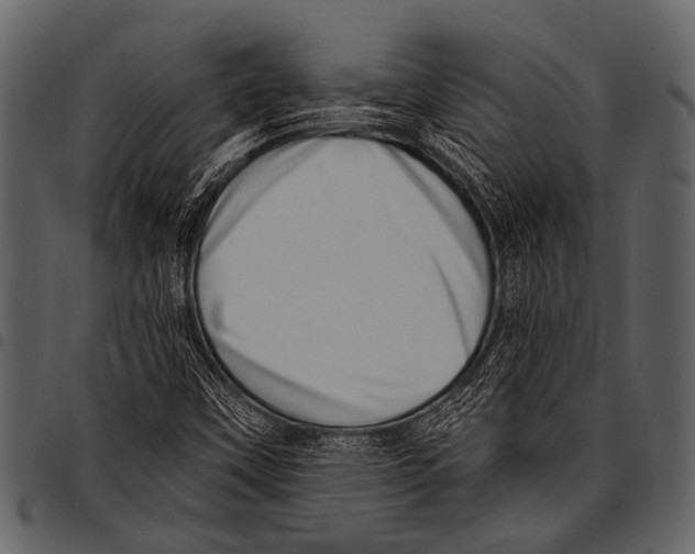 X0000097491451200803201520