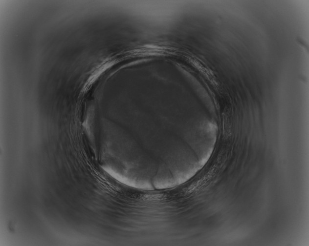 X0000097491453200803201520