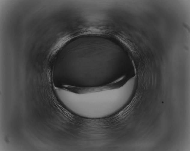 X0000097491455200803201520