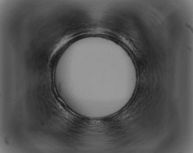 X0000097491456200803201520