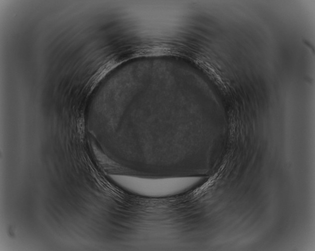 X0000097491457200803201520