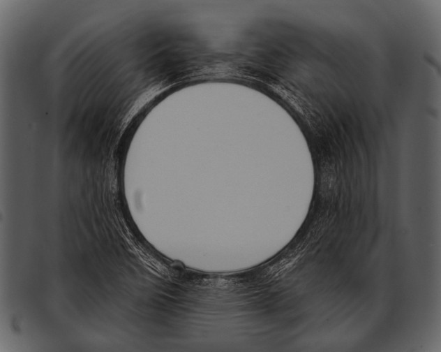 X0000097491458200803201520