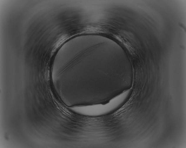 X0000097491459200803201520