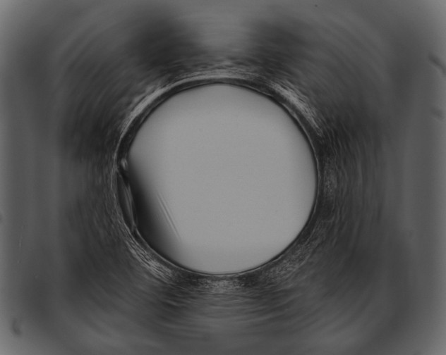 X0000097491460200803201520