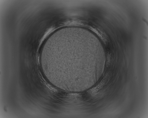 X0000097491462200803201520