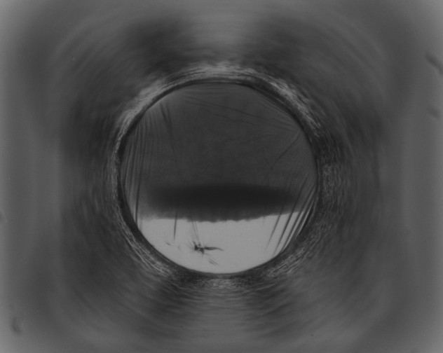 X0000097491463200803201520