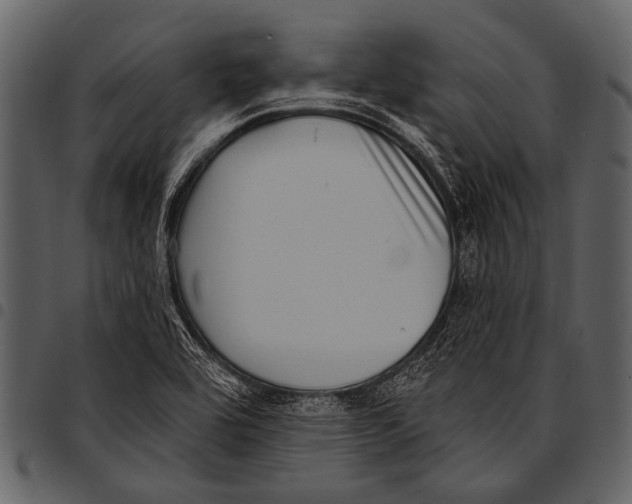 X0000097491464200803201520