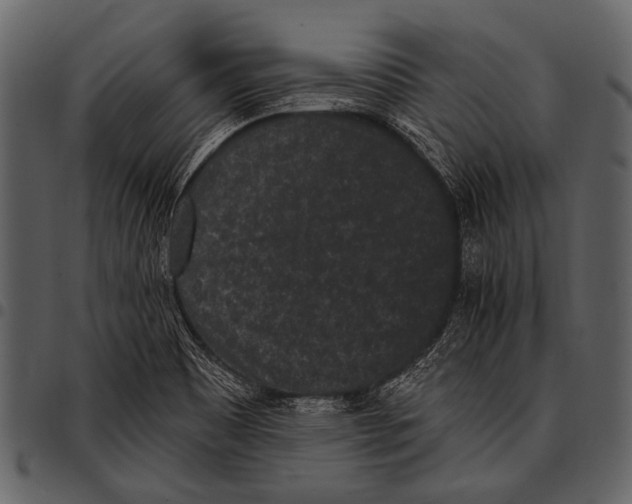 X0000097491465200803201520