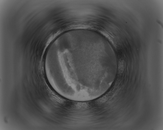 X0000097491466200803201520