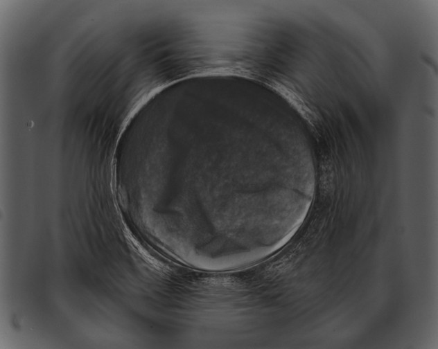 X0000097491468200803201520