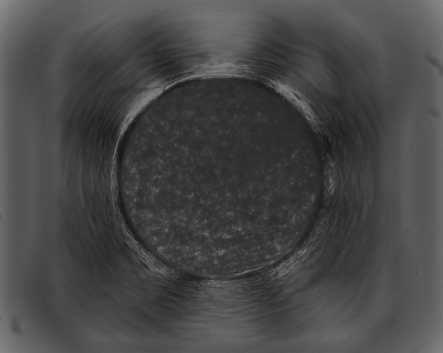 X0000097491469200803201520