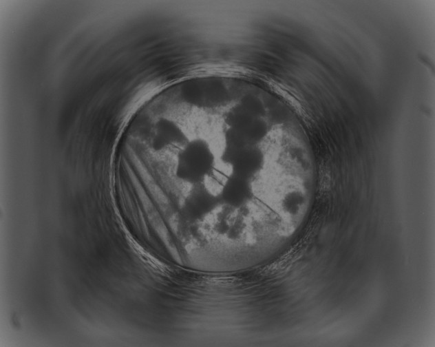 X0000097491471200803201520