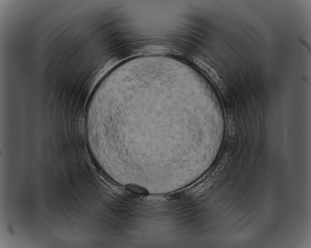 X0000097491473200803201520