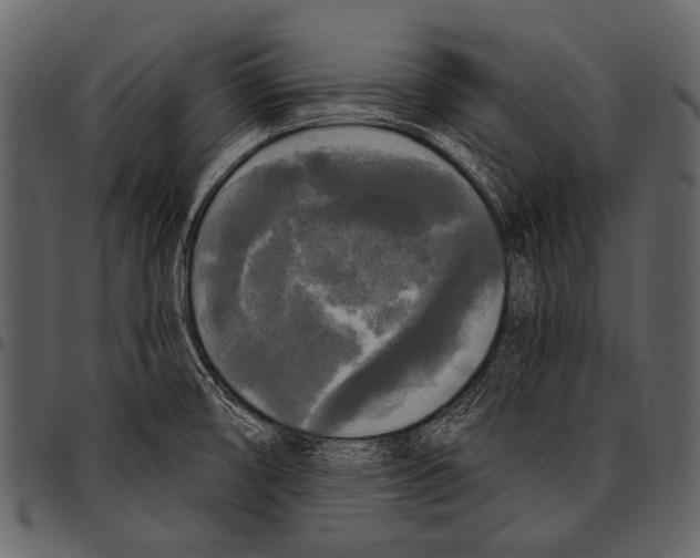 X0000097491474200803201520