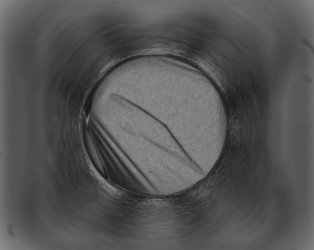 X0000097491476200803201520