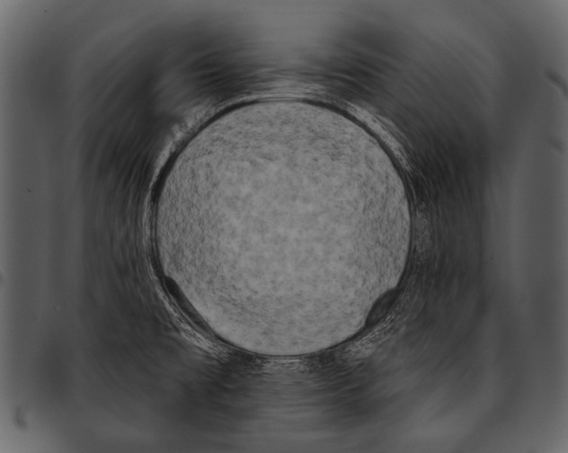 X0000097491477200803201520