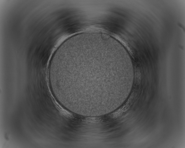 X0000097491478200803201520