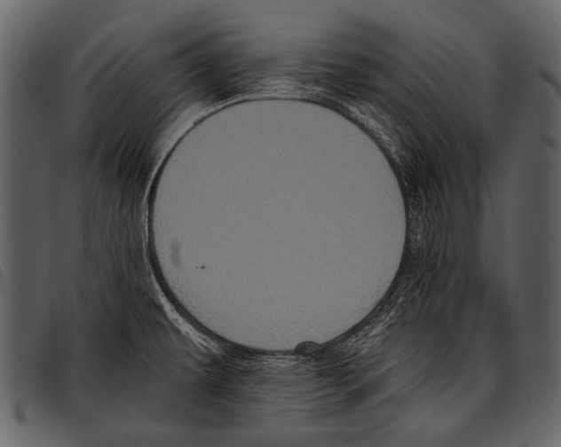 X0000097491479200803201520