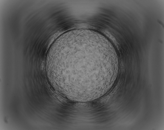 X0000097491481200803201520