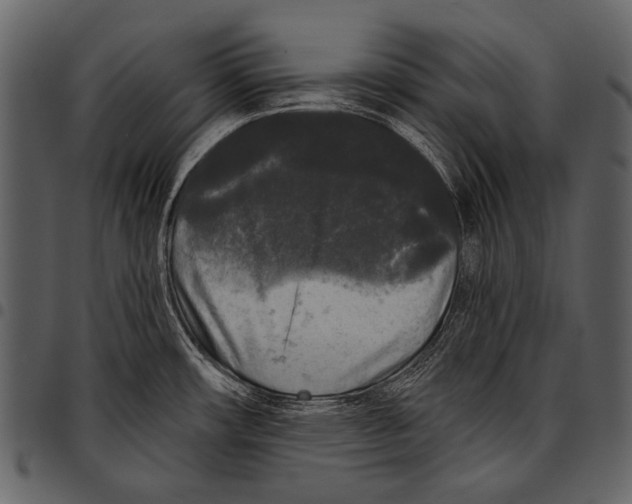 X0000097491482200803201520