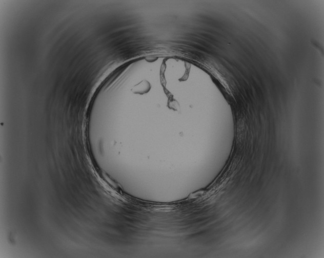 X0000097491484200803201520