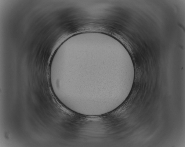 X0000097491486200803201520