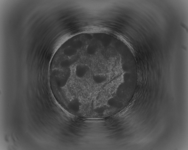 X0000097491487200803201520