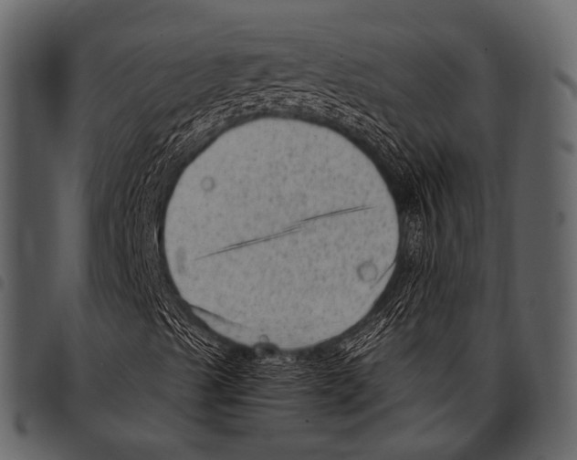 X0000097491489200803201519