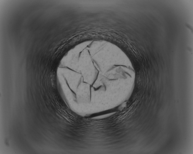 X0000097491490200803201519