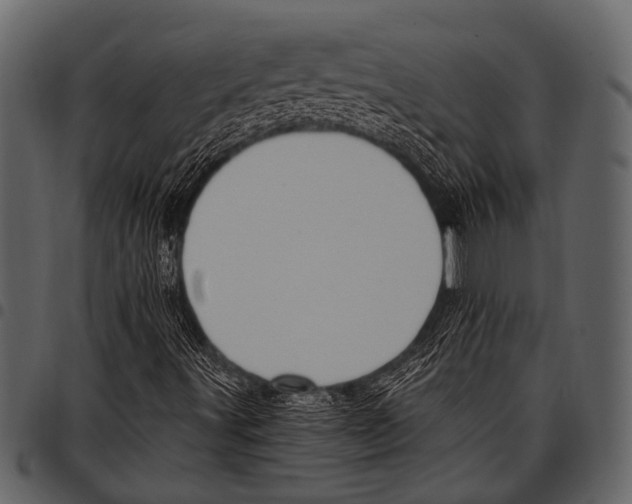 X0000097491491200803201519