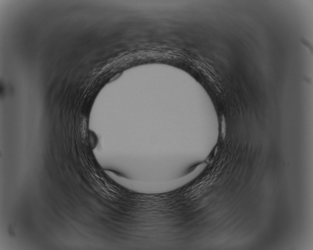 X0000097491492200803201519