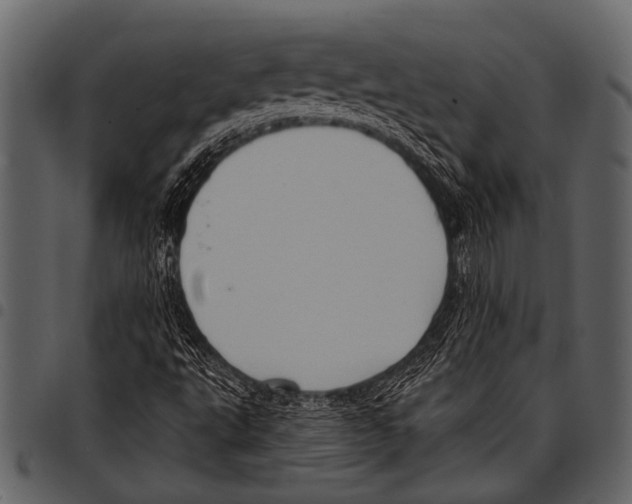 X0000097491495200803201519