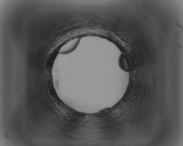 X0000097491496200803201519