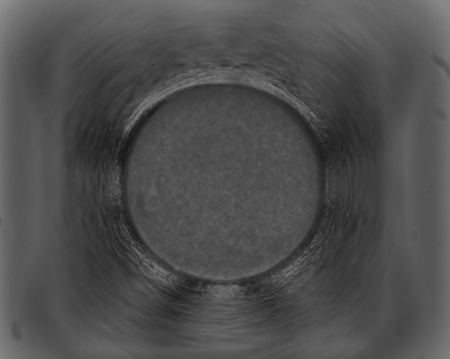 X0000097491498200803201519