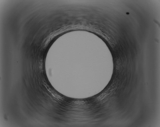 X0000097491499200803201519