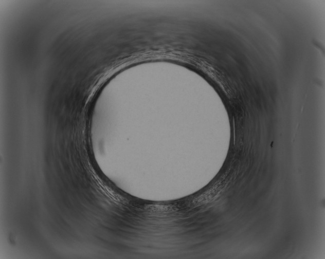 X0000097491500200803201519