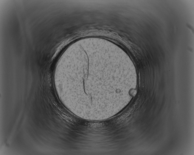 X0000097491501200803201519